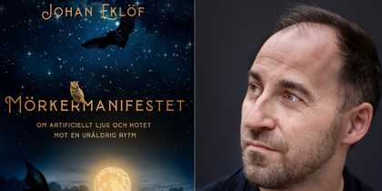 Bokomslag till 'Mörkermanifestet' av Johan Eklöf med nattmotiv, fladdermus, uggla, fjäril och älg.