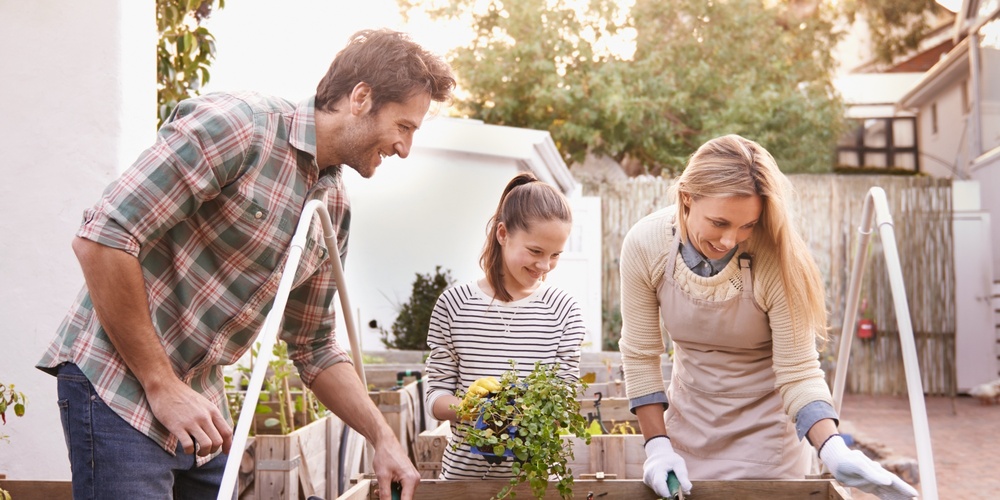 Tre personer arbetar tillsammans i en upphöjd trädgårdslåda i en solig trädgård.