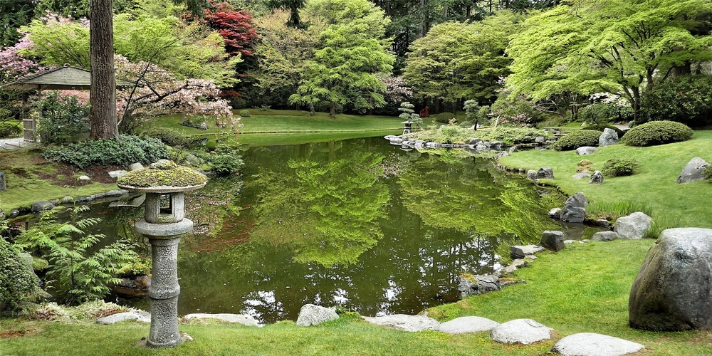 En lugn japansk trädgård med damm, gröna träd, stenar och en stenlykta vid vattnet.