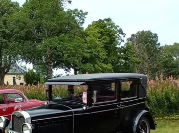 Flera klassiska bilar står parkerade på en gräsmatta med en kyrka och träd i bakgrunden.