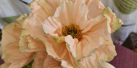 cremefärgad blomma gjord i crepepapper.