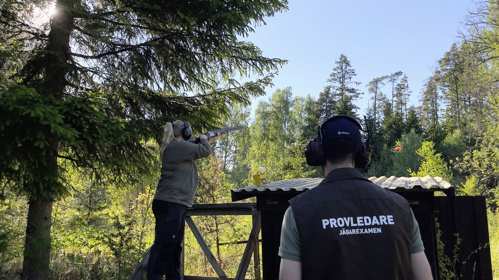 Två personer skjuter lerduvor i en skogsmiljö, en med gevär och en med väst märkt 'Provledare'.
