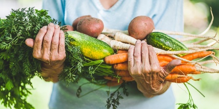En person håller en stor bunt färska grönsaker, bland annat morötter, gurka och potatis, i famnen utomhus.
