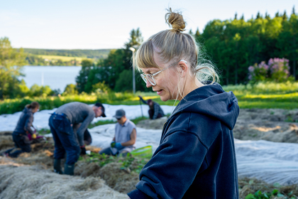 En kvinna med glasögon och uppsatt hår arbetar på en odlingsmark med andra personer i bakgrunden.