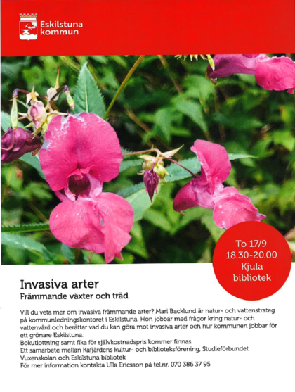 Affisch om föreläsning om invasiva arter med bild på rosa blommor och information om evenemanget på Kjula bibliotek.