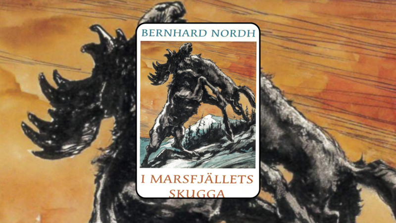 Studiecirkel om boken I Marsfjällets skugga