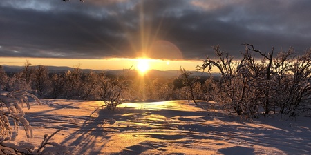 Solnedgång över ett snötäckt landskap med träd och långa skuggor under en dramatisk himmel.