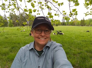 Person tar en selfie på en grön äng med får som betar i bakgrunden under ett träd med gröna blad.