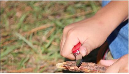 Ett barn skalar en pinne med en röd fällkniv utomhus på gräs.