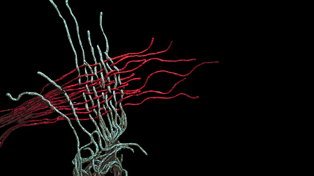 Abstrakt bild av sammanflätade trådar i blått och rött mot svart bakgrund.