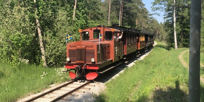 Ett litet brunt tåg kör genom en grön skog på en solig dag.
