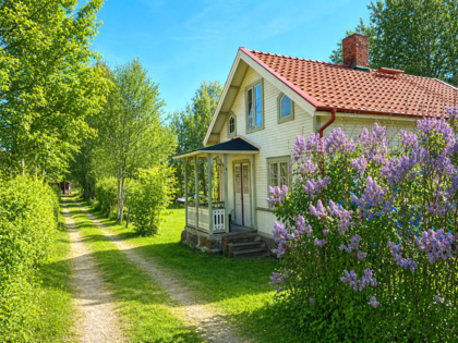Gul trävilla med rött tak, omgiven av grönska och blommande syrener, vid en grusväg under klarblå himmel.