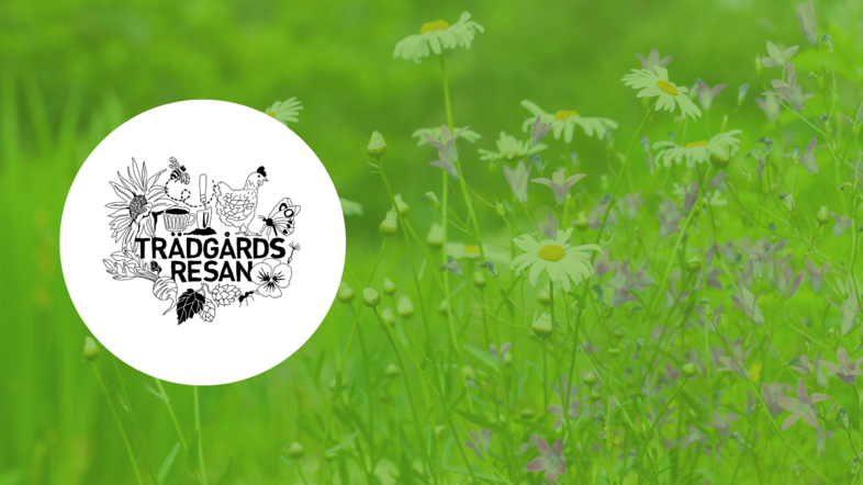 Logotyp med texten 'Trädgårdsresan' mot en bakgrund av grönt gräs och prästkragar.