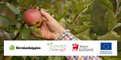 En hand plockar ett rött äpple från ett träd. Logotyper för Sörmlandsäpplen, Leader Gute, Region Gotland och EU syns nedtill.