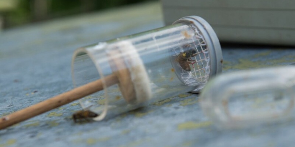 Ett plastverktyg med en insekt, troligen ett bi, ligger på ett bord utomhus med en grå låda i bakgrunden.