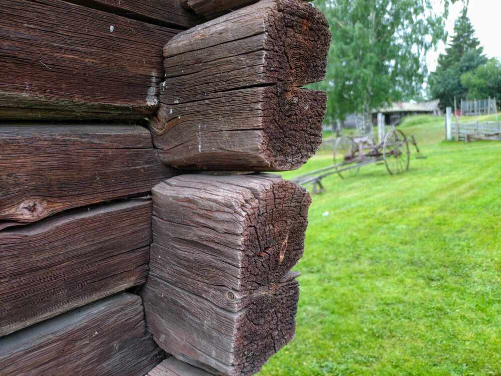 Närbild av ett hörn på en timrad träbyggnad med grön gräsmatta och gammal vagn i bakgrunden.