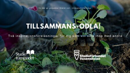 Person med handskar planterar grönsaksplantor i jord, text om inspirationsföreläsningar om odling tillsammans.