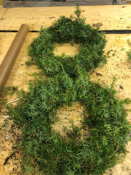 Två gröna kransar av barrväxter ligger på ett träbord, formade som siffran åtta.