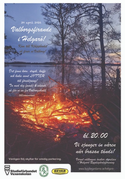 träd, brasa, kväll, skymning, vatten, skogsbryn, sång, musik, lotter