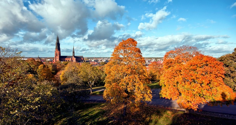 Höstlandskap med färgglada träd och en kyrka med två torn i bakgrunden under en blå himmel med moln.