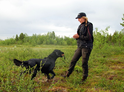 En person står utomhus på en äng och tränar en svart hund som apporterar ett föremål.