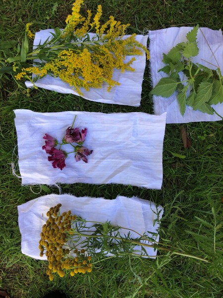 Fyra vita tygbitar ligger på gräs med olika växter och blommor placerade ovanpå varje tygbit.