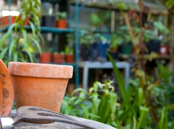 Trädgårdsredskap och lerkrukor på ett bord i en grönskande trädgård med växthus i bakgrunden.