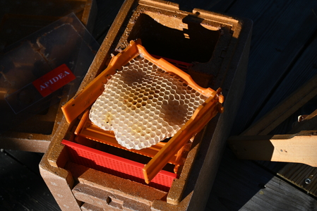 En bikupa med en ram fylld med vaxkaka och honung, fotograferad ovanifrån i dagsljus.