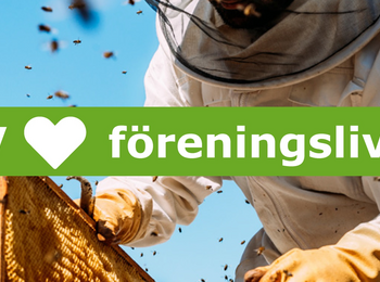 Person i skyddsdräkt arbetar med bikupa, texten 'SV hjärta föreningslivet' syns över bilden.