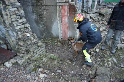 Räddningsarbetare med sökhund söker i raserade byggnader efter överlevande.