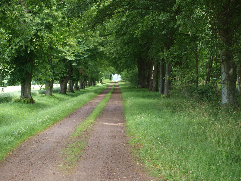 Finn en pilgrim i dig! - pilgrimsvandring