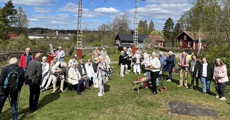 En grupp människor samlade utomhus på en gräsmatta vid röda stugor under en solig dag.