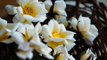 Närbild på vita och gula blommor i en korg med suddig bakgrund.