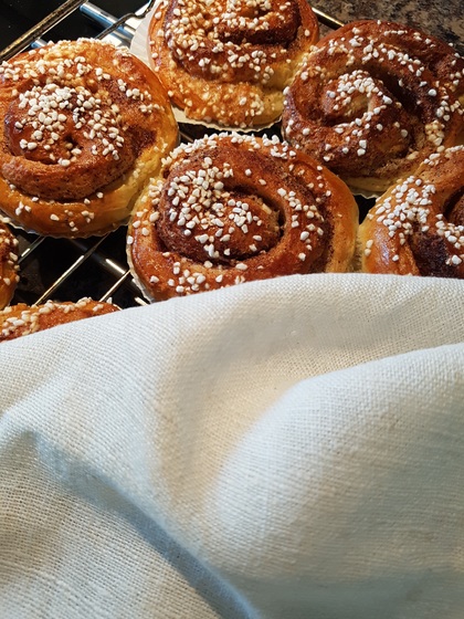 Nygräddade kanelbullar med pärlsocker ligger på ett galler, delvis täckta av en vit kökshandduk.