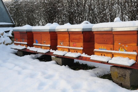 Flera bikupor av trä står på rad utomhus, täckta av snö under vintern.