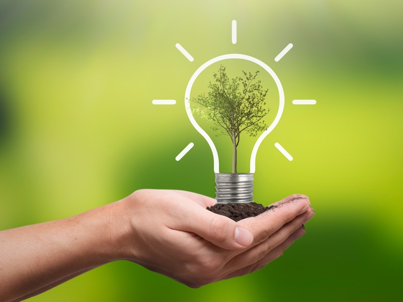 Två händer håller jord med en glödlampa där ett träd växer inuti, mot en grön bakgrund.