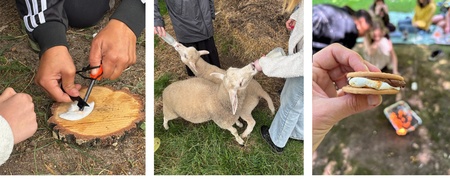 Kollage med utomhusaktiviteter, får, lägereld, handskriven lapp och presentation i klassrum.