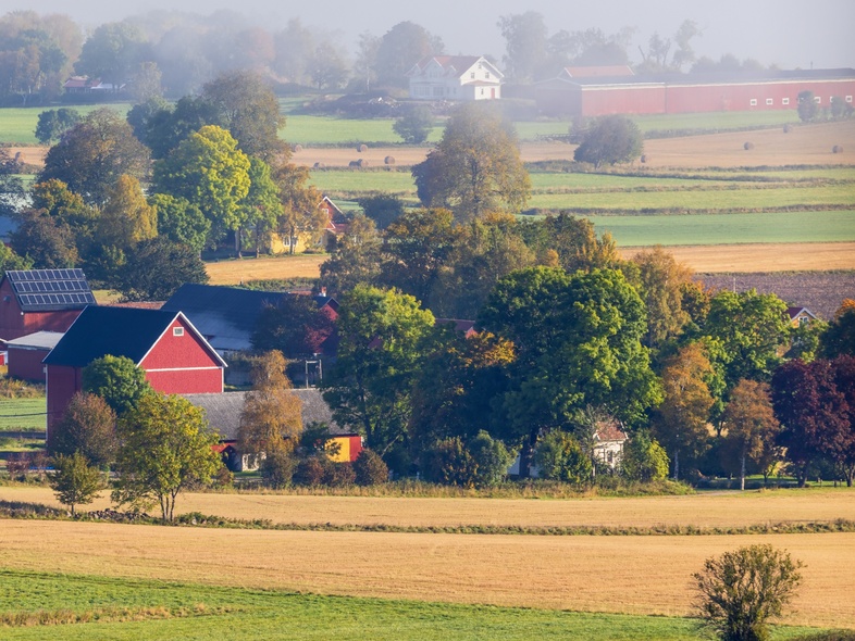 Landskapsvy över en lantlig by med röda hus, gröna fält och träd i morgondimma.