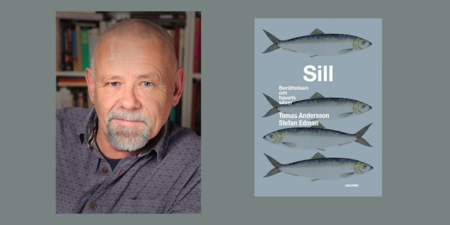 Porträtt av en äldre man med skägg bredvid ett bokomslag med fyra fiskar och texten 'Sill'.