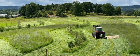 En traktor klipper gräs på en grön åker under molnig himmel, omgiven av träd och landskap.