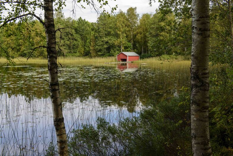 En röd liten stuga vid en lugn sjö omgiven av skog och näckrosor, sedd genom trädstammar.