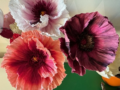 Tre stora, färgglada pappersblommor i rosa, lila och rött mot en grön och vit bakgrund.