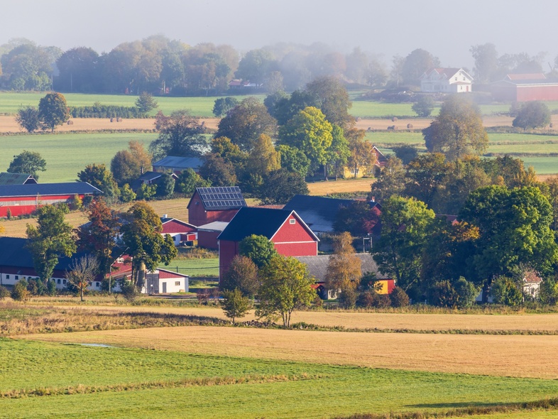 Landskapsvy över en lantlig by med röda hus, gröna fält och träd i morgondimma.