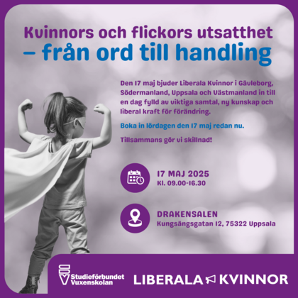 Kvinnors och flickors utsatthet - från ord till handling