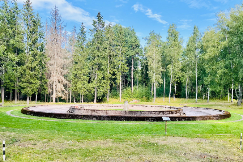 En rund, tom fontän omgiven av gräsmatta och skog under en klarblå himmel.