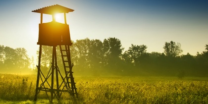 Ett jakttorn står på en äng i soluppgång med träd i bakgrunden och gyllene ljus över landskapet.