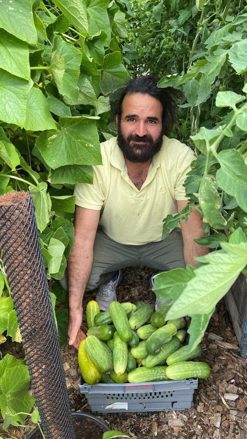 En man med skägg sitter i en grönskande trädgård och håller en låda med nyskördade gurkor.