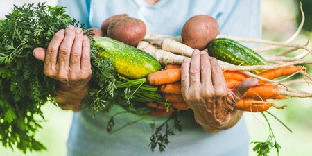 En person håller en stor bunt färska grönsaker, bland annat morötter, gurka och potatis, i famnen utomhus.