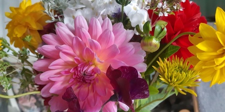 En bukett med färgglada blommor, inklusive rosa, gula och röda blommor, i närbild.