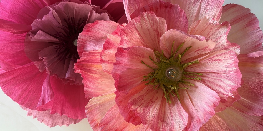 Två stora, färgglada pappersblommor i rosa och rött mot en ljus bakgrund.